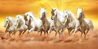 7 white horse wallpapers wallpaper cave