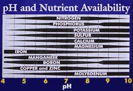 Cannastats Ph And Nutrient Availability