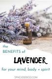 Image result for does lavender have healing properties