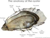 How do you defrost frozen oysters quickly?