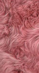 fur iphone wallpapers top free fur