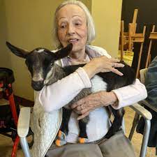 goat yoga thousand oaks ca last