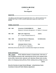 Best Cv Objectives Good Resume Objective Examples New Job A For