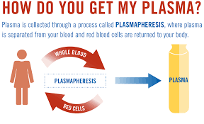Donate Plasma Get Paid Save Lives B Positive Plasma