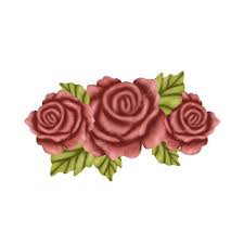 beautiful rose flower image