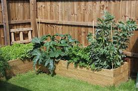 Diy Raised Beds Grow Your Own Veg