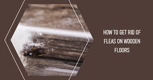 how to remove fleas from wooden floors
