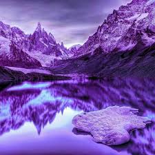 Image result for beautiful purple images