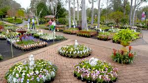 garden centres in rutherford nsw