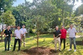 dads for life tree to inspire singapore