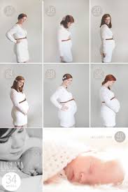 Pregnancy Bump Chart 31 Best Bump Progression Images