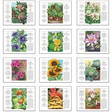 almanac gardening calendar