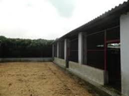 layout for ideal commercial goat farm