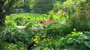 mount usher gardens wicklow county