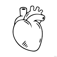 free human heart clipart black and