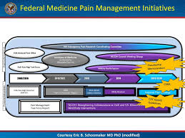 Va Dod Pain Management Collaboration Ppt Download