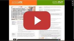 After the plit business insurance portfolio was completed, personal insurance products for avma and student avma. Vmae Avma Trust