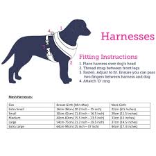 Doodlebone Airmesh Padded Dog Harness Pink Small Feedem