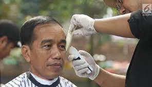 Foto Saat Jokowi Ikut Cukur Rambut Massal Di Bawah Pohon News... 