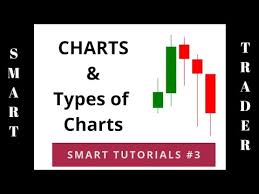 Charts Types Of Charts Must For Beginners Smart Tutorials 3