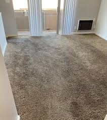del sol carpet cleaning your trusted