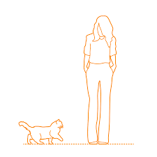Ragdoll Cat Dimensions Drawings Dimensions Guide