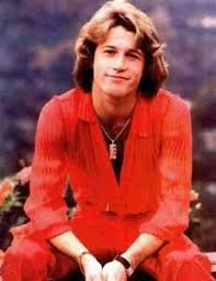 However the damage was done. Andy Gibb Bee Gees Wiki Fandom