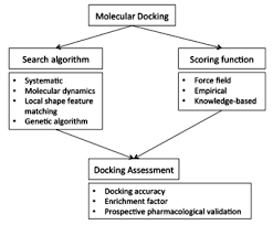 Docking Molecular Wikipedia
