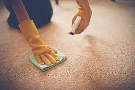 a carpet cleaning service tailored for