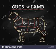 Lamb Cuts Chart Sheeps Or Lambs Meat Steak Butcher