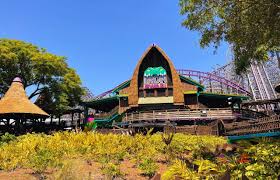 how to go to busch gardens alone 11