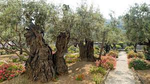 the garden of gethsemane still a place
