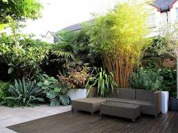 Tropical Gardens Patio Garden Design