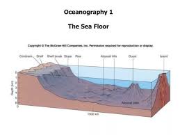 ppt oceanography 1 the sea floor