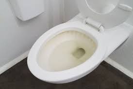 Toilet Seat Turned Yellow After
