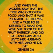 Genesis 3:6(KJV)