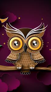 hd cute owl wallpaper for android