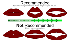 recommendations salsa lipsync suite v2