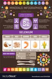 Selenium Mineral Supplement Rich Food Icons
