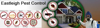 expert fumigation pest control