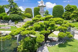 Traditional Japanese Gardens