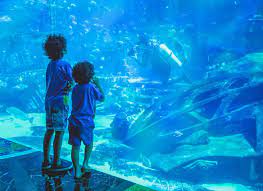 dubai aquarium burj khalifa level