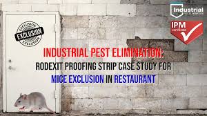 Join the discussion on or participate in pest exclusion research. Industrial Pest Elimination Rodexit Proofing Strip Case Study For Mice Exclusion In Restaurant The British Rat Trap Company