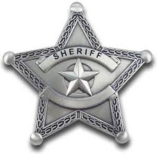 Image result for sheriff badge