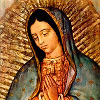 Catholic.net - El misterio de la Virgen de Guadalupe mexicana