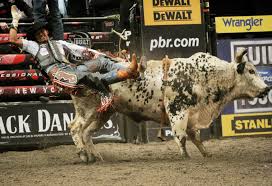 bull riding wallpapers wallpaper cave