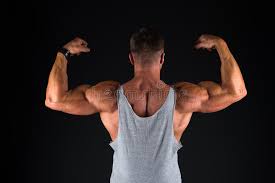 205,409 Bodybuilding Photos - Free & Royalty-Free Stock Photos from  Dreamstime