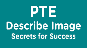 Pte Describe Image Pie Chart Saya Educationals