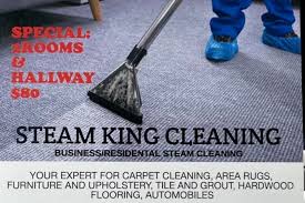steam king cleaning marietta ga