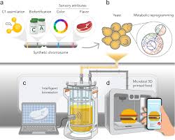 harnessing bioengineered microbes as a